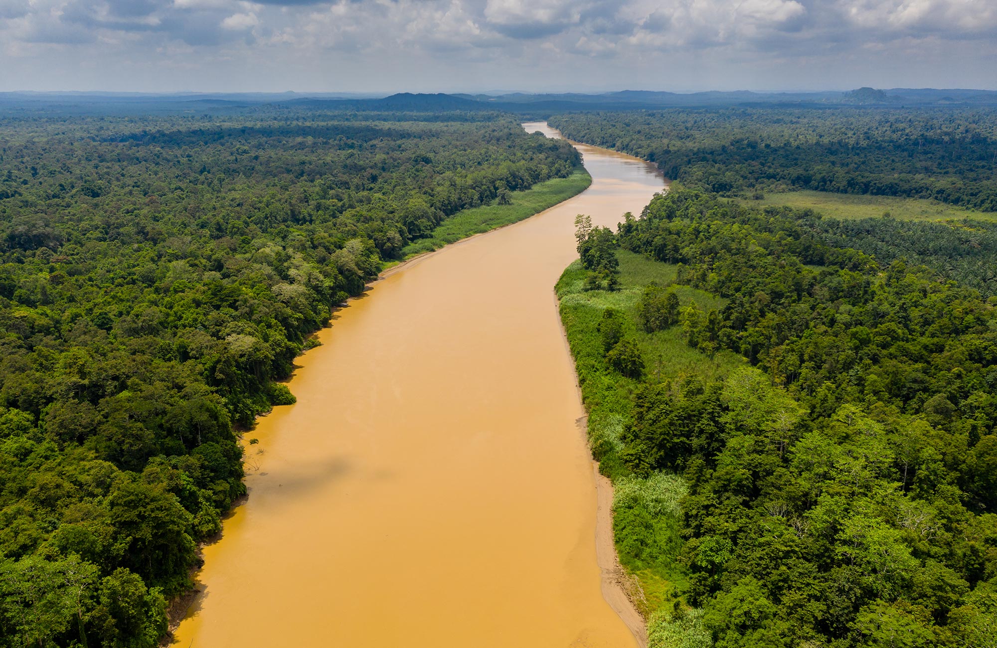 Rejser Til Borneo Backpacking P Borneo Med KILROY   Asia Malaysia Borneo Kinabatangan River Cover 